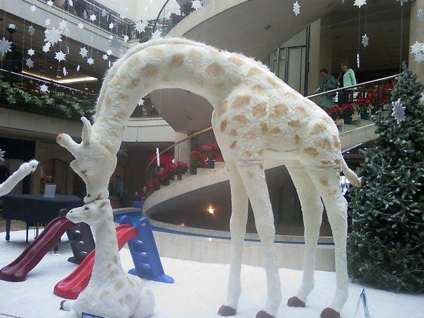 Centro Comercial Andino-波哥大必去景点