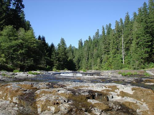 Steamboat Falls Campground