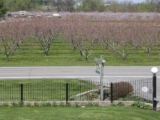 Arbour Breeze Bed & Breakfast主图