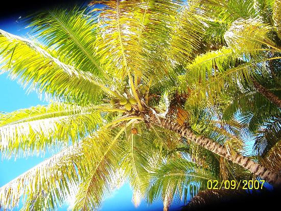 Elm Beach Suites主图