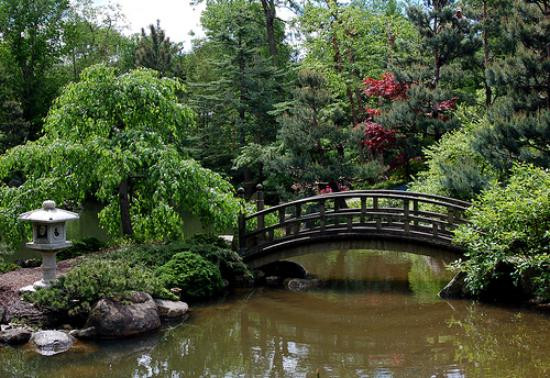 Anderson Japanese Gardens-罗克福德必去景点