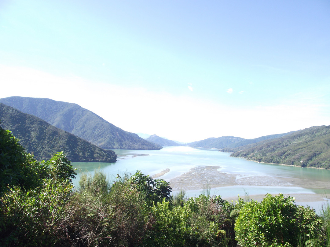 Queen Charlotte Sound景点图片