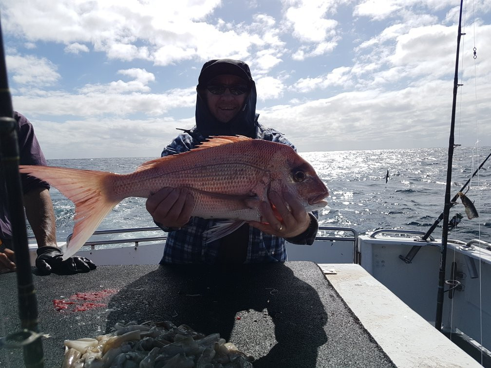 Mindarie Fishing Charters景点图片