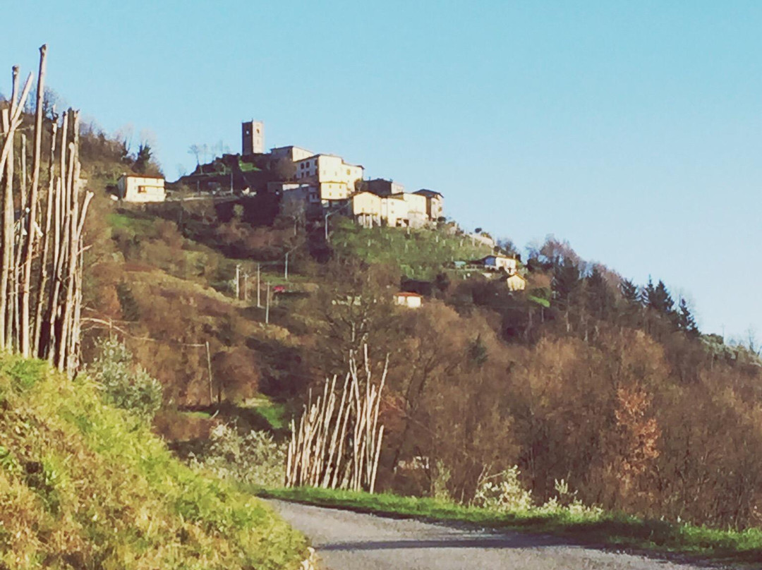 Agriturismo Vallecchia