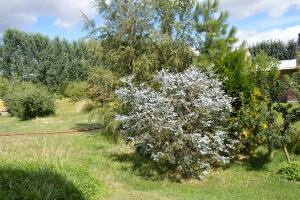 Hosteria Alejo-酒店景观