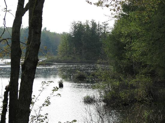 Redfield旅游攻略图片