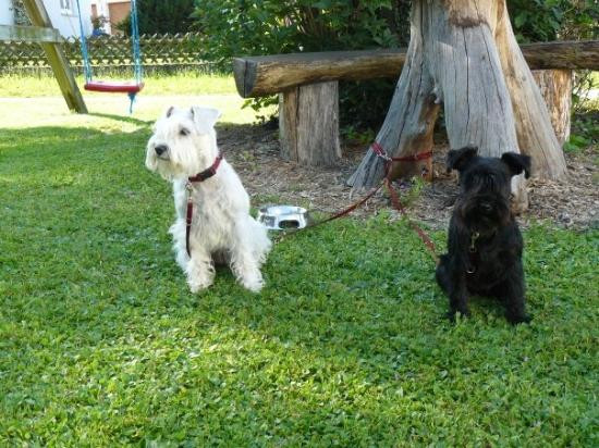 Maselheim旅游攻略图片