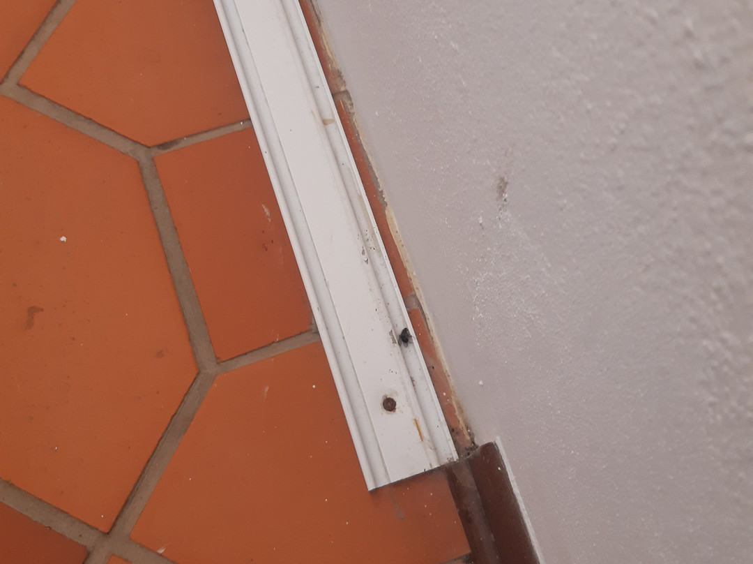 Hotel Alcatruz主图