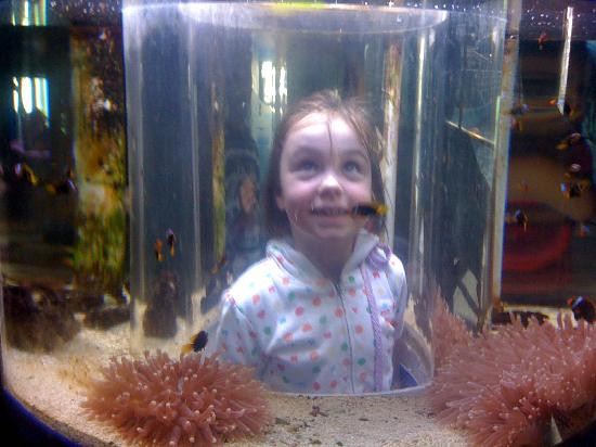 Great Barrier Reef Aquarium-汤斯维尔必去景点