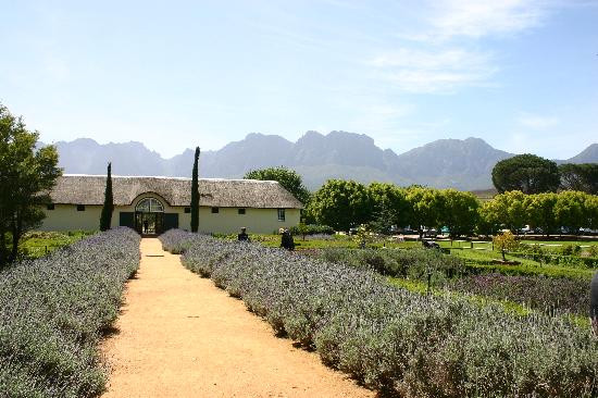 Vergelegen Estate-西索美塞必去景点