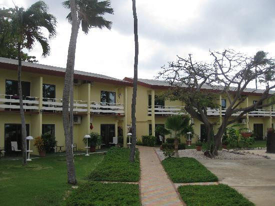 Manchebo Beach-棕榈/鹰海滩必去景点