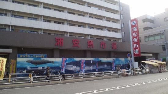 Urayasu Fish Market-浦安市必去景点