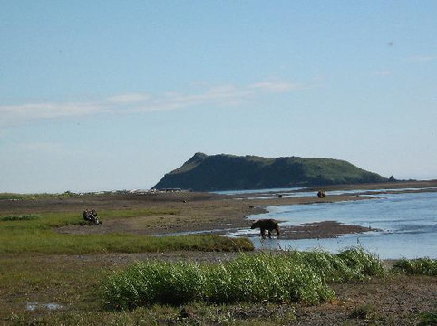 Alaska Wild Bear Adventures-荷马必去景点