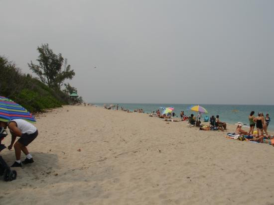 Red Reef Park-博卡拉顿必去景点