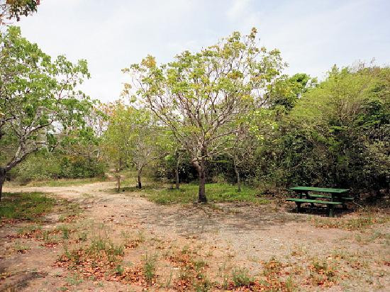 Virgin Gorda Peak-维京果岛必去景点