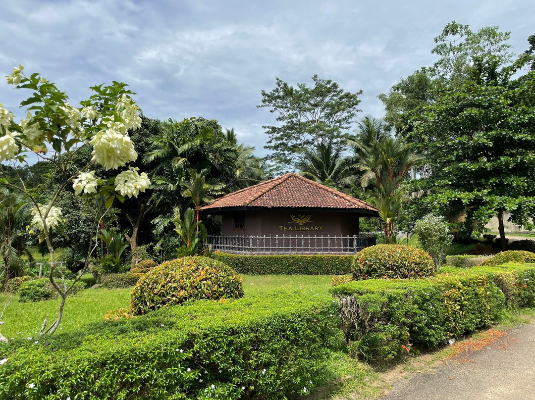 Tea Library-Akuressa必去景点