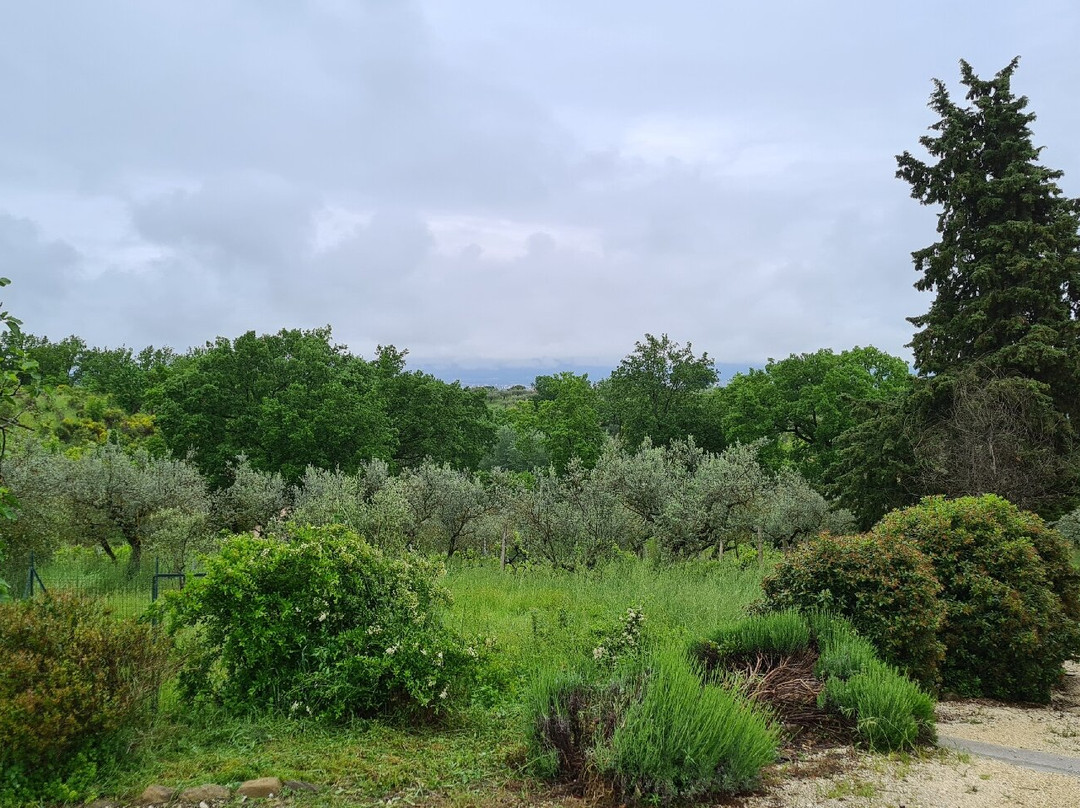 Villa Colle Di Rocco主图