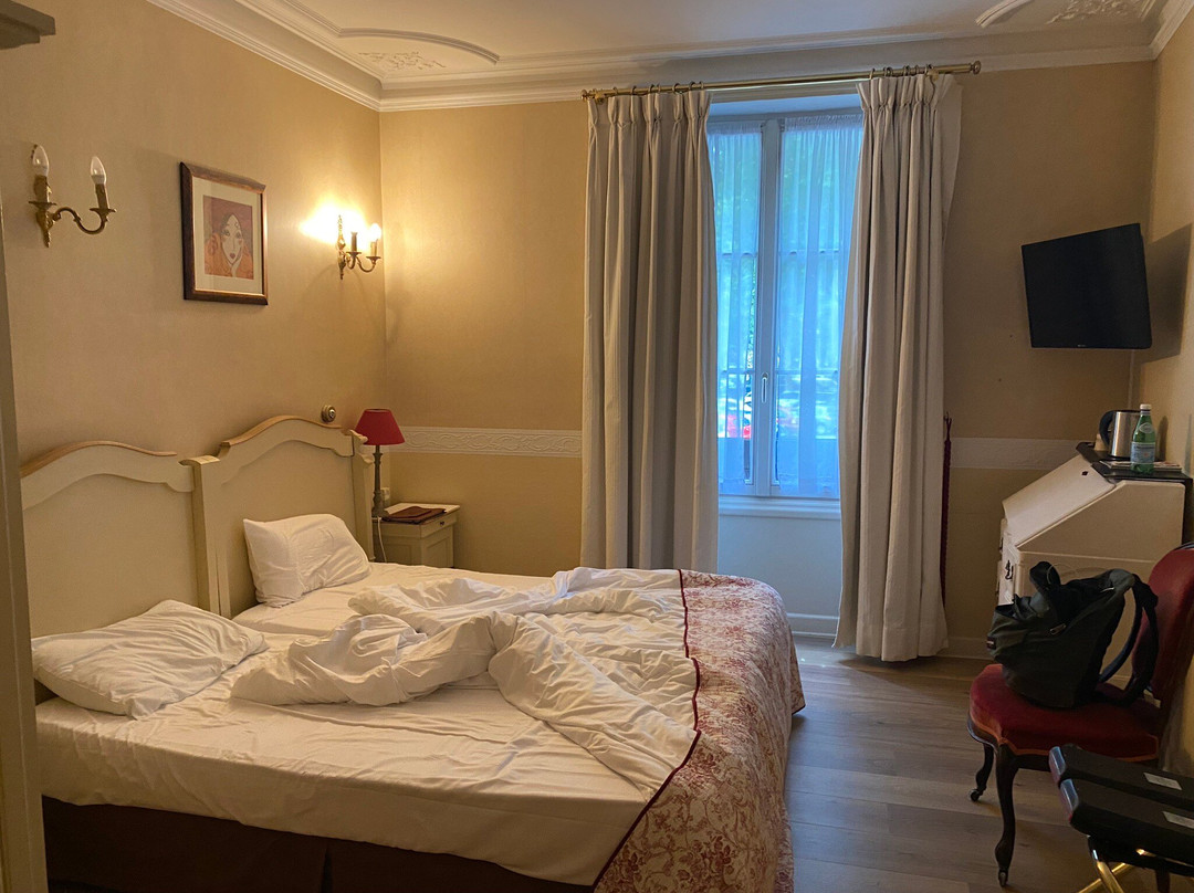 Cit'Hotel Le Plantagenet主图