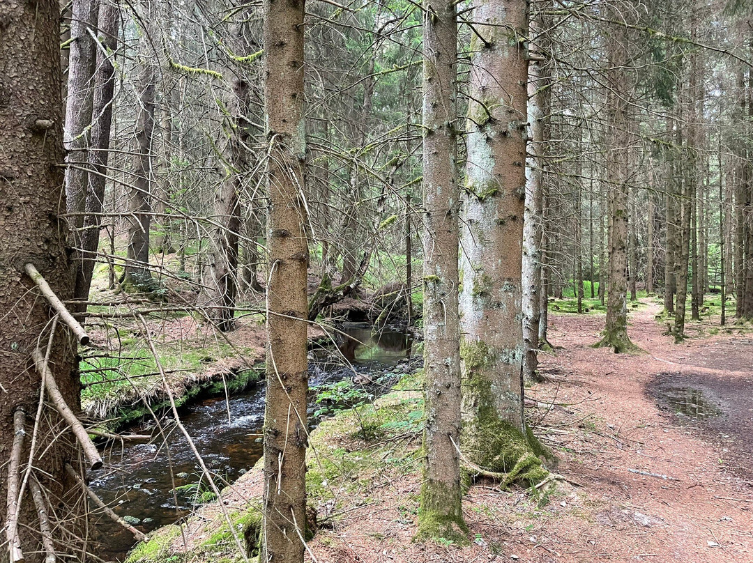 Naturlehrpfad Bischofsgrün景点图片