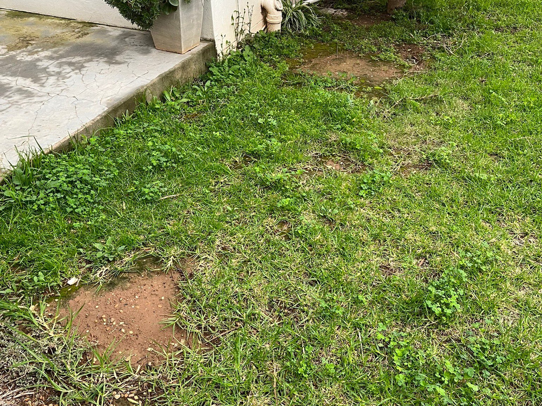 Green Gables Country Inn主图