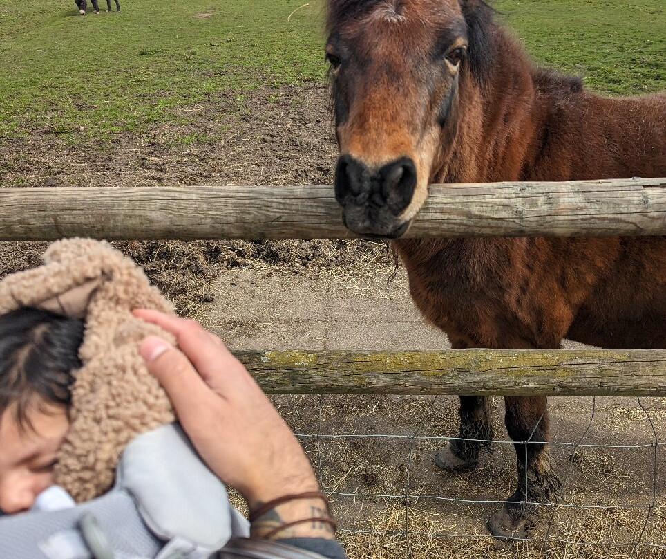 Brockswood Animal Sanctuary景点图片