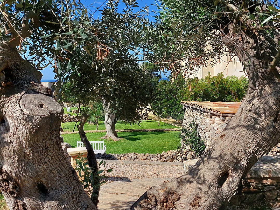 蒙特卡里尼酒店主图