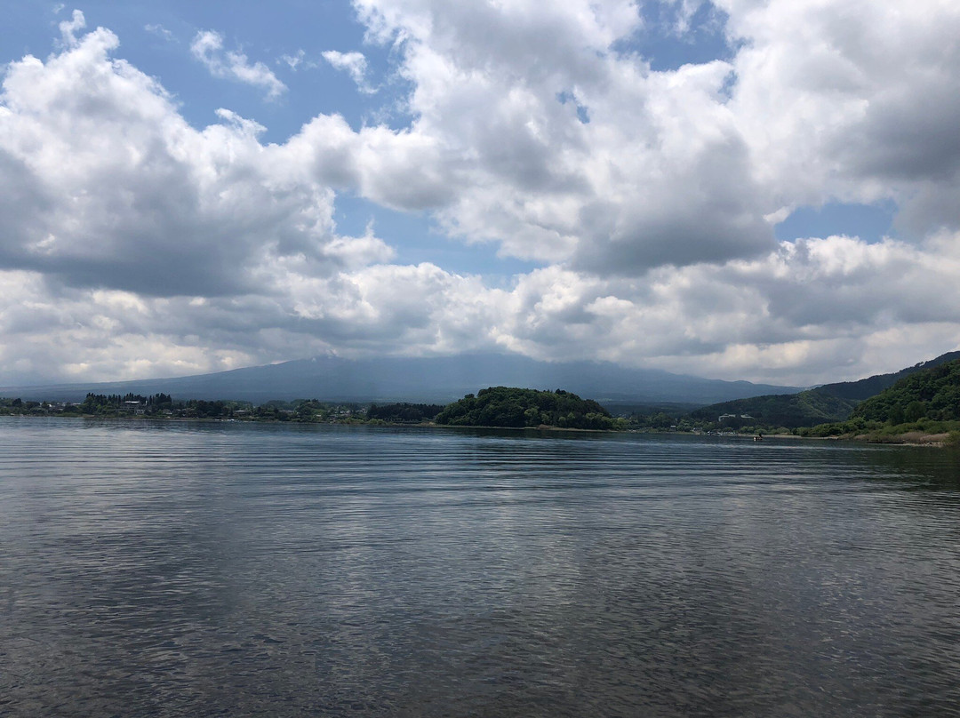 Fuji Oishi Hana Terrace-富士河口湖町必去景点