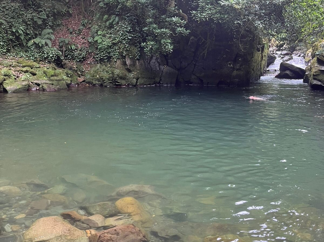 Mtirala National Park-Chakvistavi必去景点