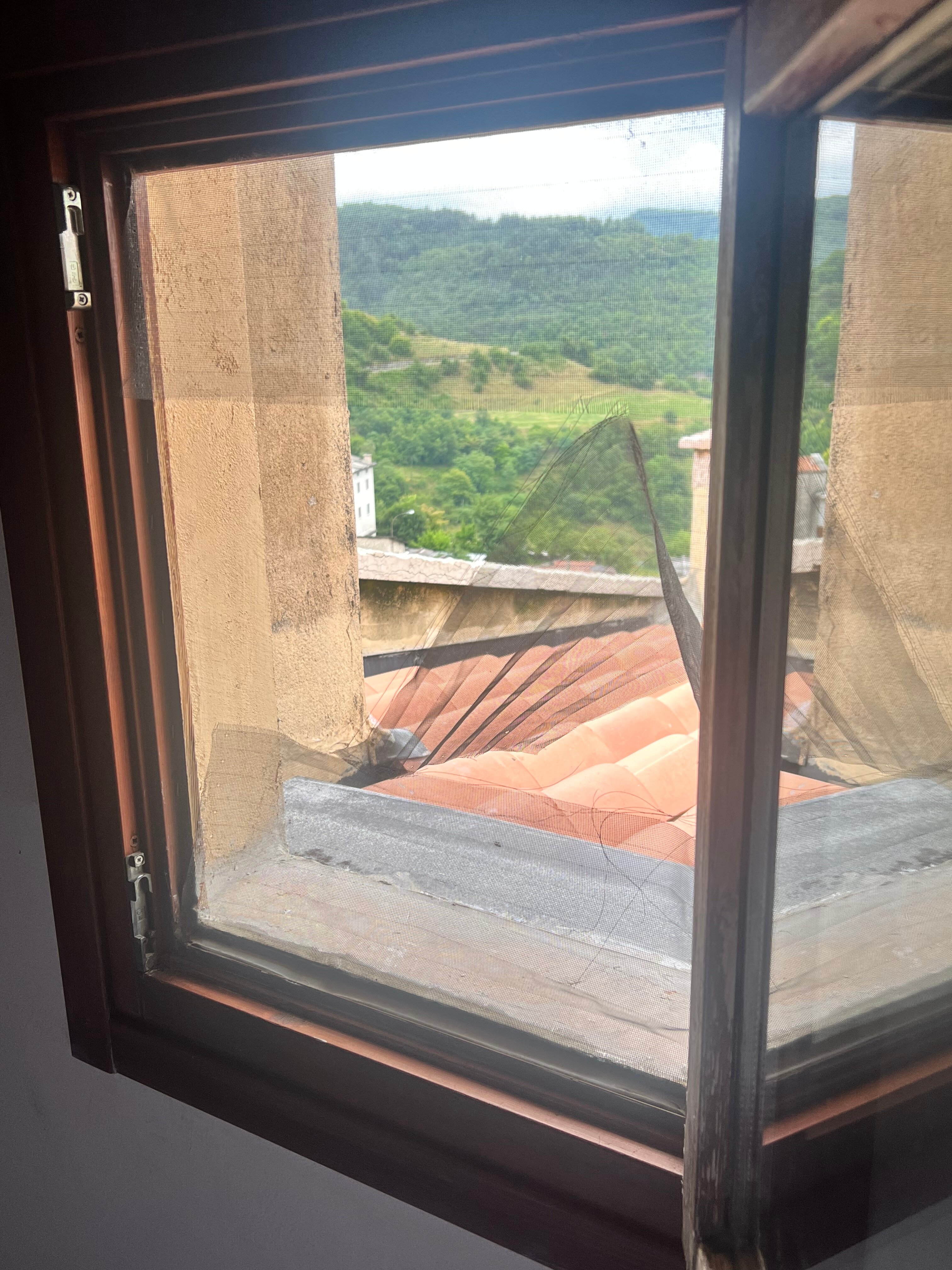 B&B Molina-官方