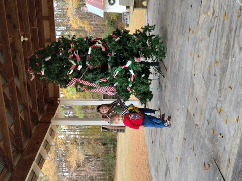 Pioneer Village-Rison必去景点