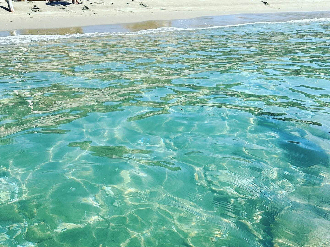 Paralia Chalkolimnionas-安德罗斯必去景点