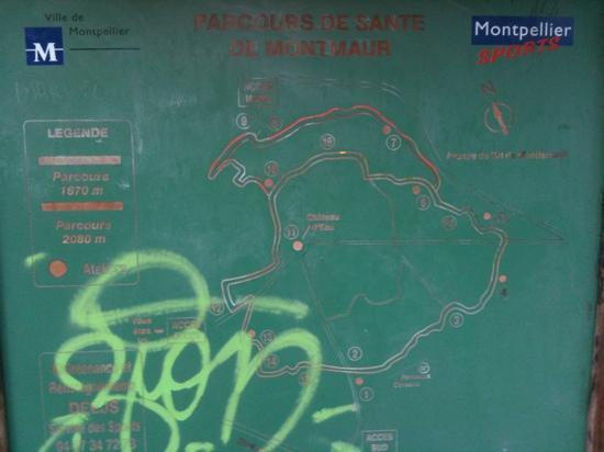 Bois de Montmaur景点图片