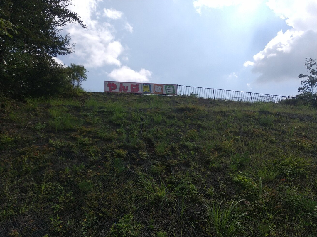 Yamba Viewing Platform-长野原町必去景点