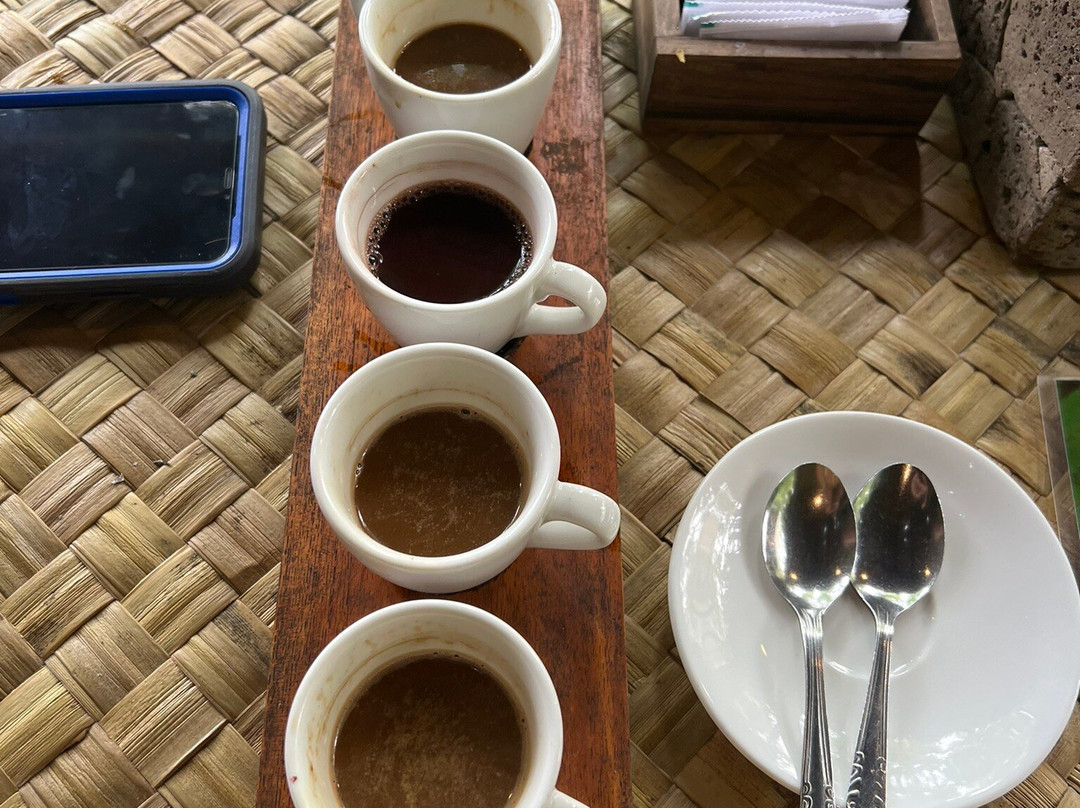 VIC Tour And Transport-乌布必去景点