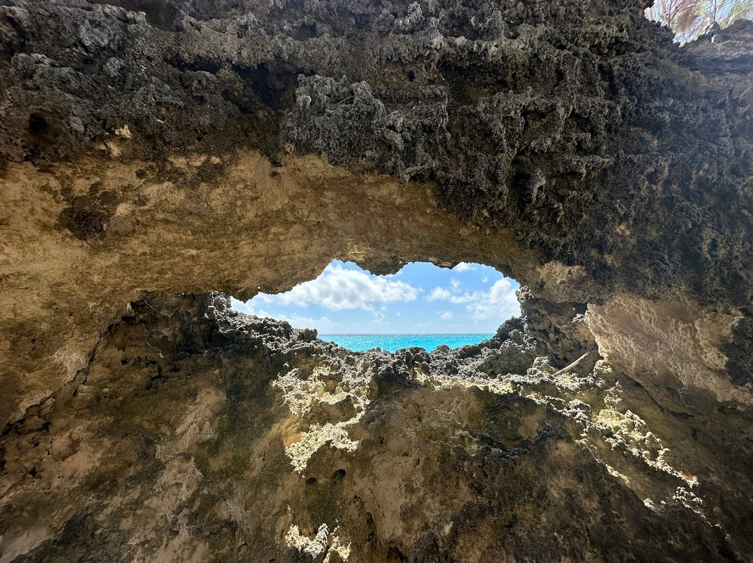 West Whale Bay Beach-南安普敦必去景点