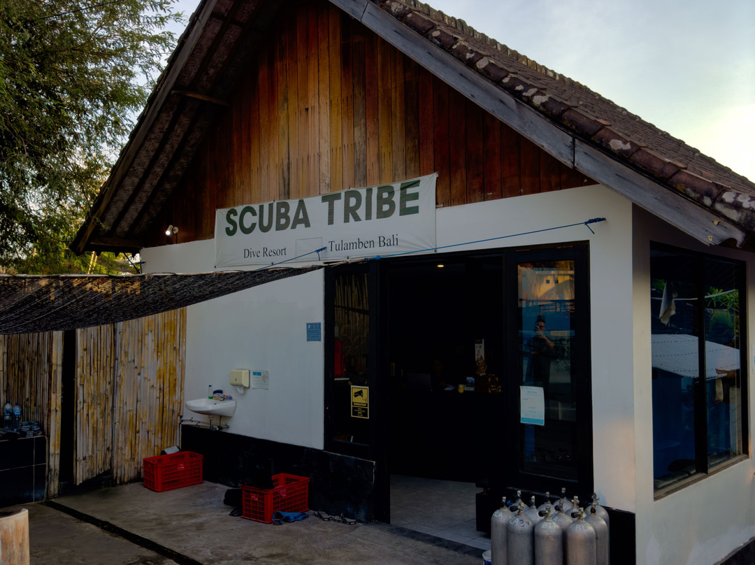 Scuba Tribe Bali景点图片