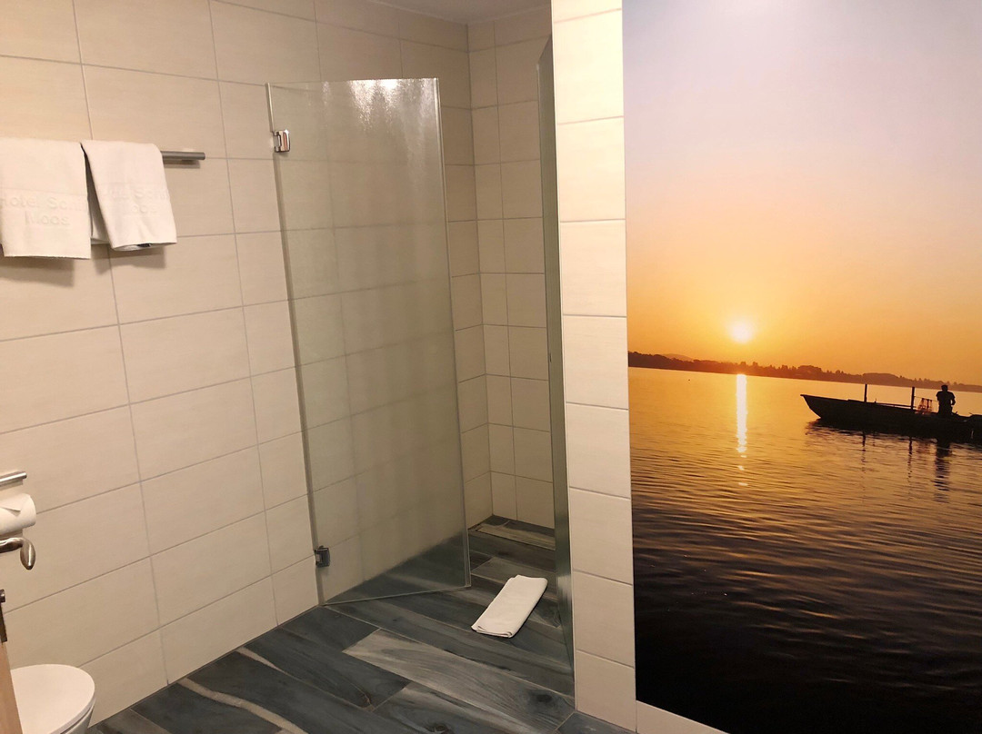 Gasthaus Schiff主图