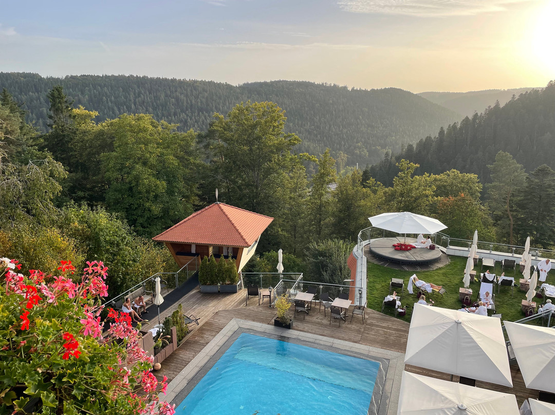 Hotel Kronelamm Im Schwarzwald主图