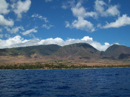 Atlantis Submarines Maui-拉海纳必去景点