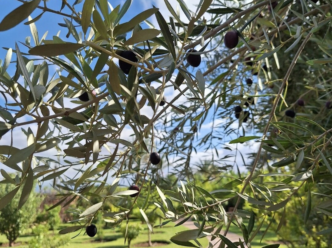 Marrakech Retreat By La Siredrah主图