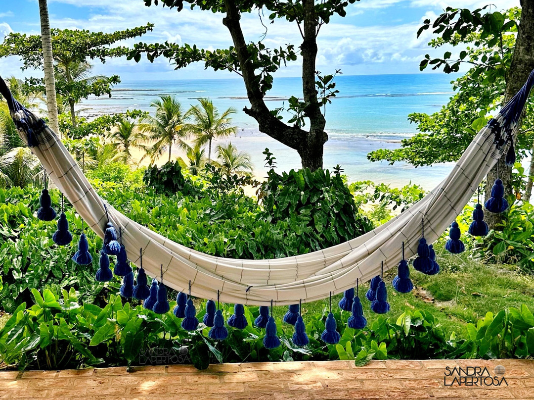 Hotel Calá & Divino主图