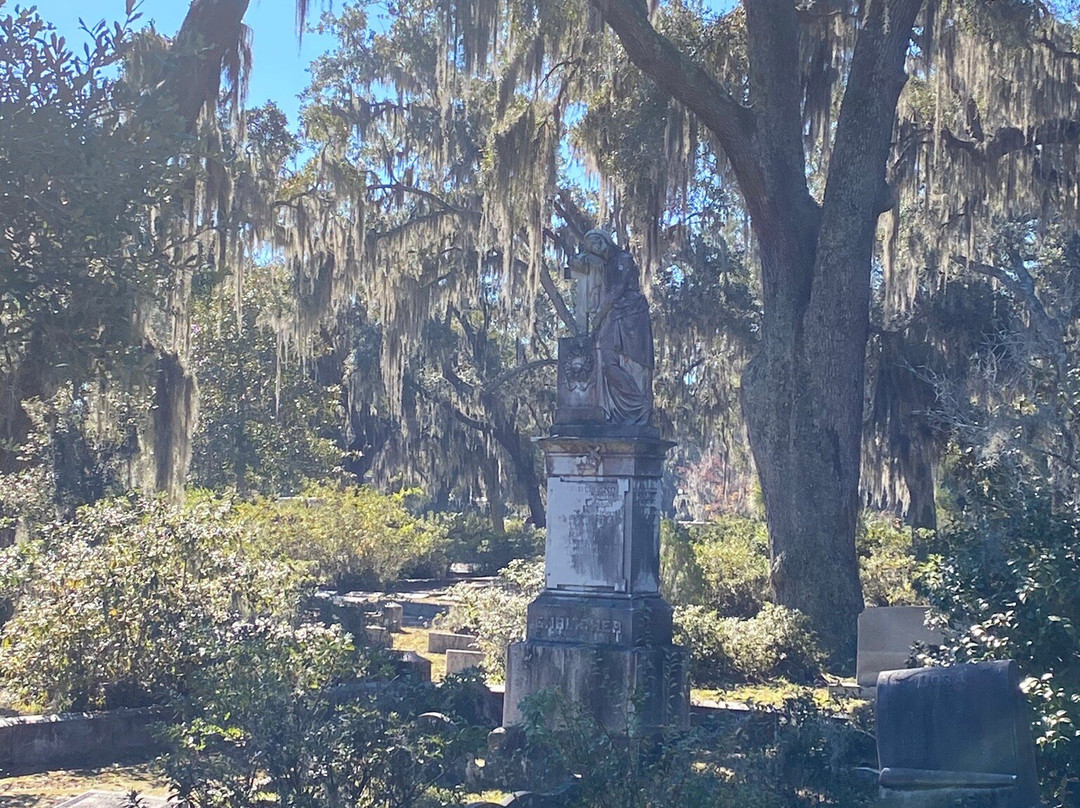 Savannah Cruzers-萨凡纳必去景点