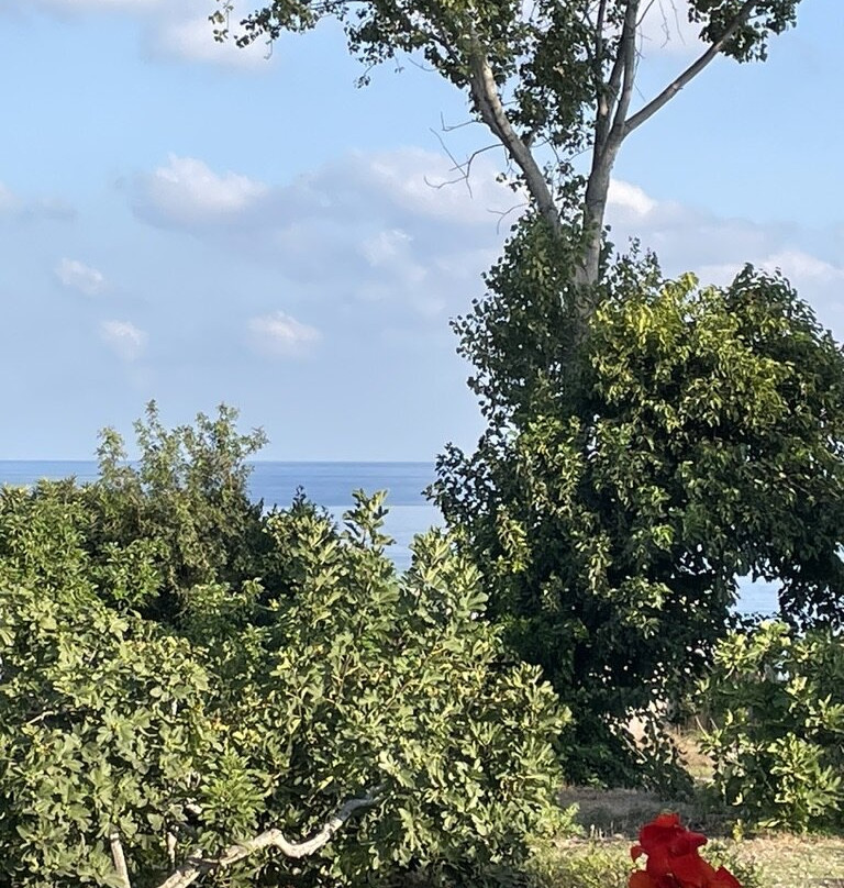 阿福罗狄蒂海滩酒店主图