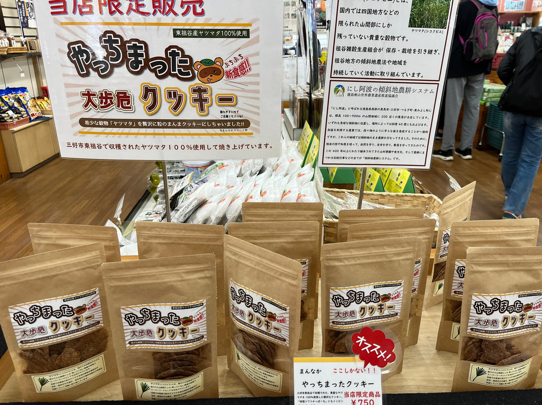 大歩危・小歩危-三好市必去景点
