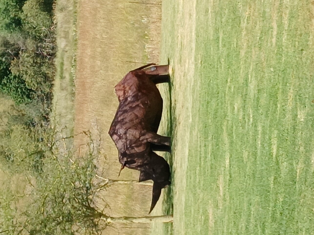 Diemersfontein Wine & Country Estate主图