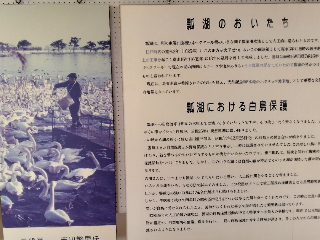 Hyokosuikin Park-阿贺野市必去景点