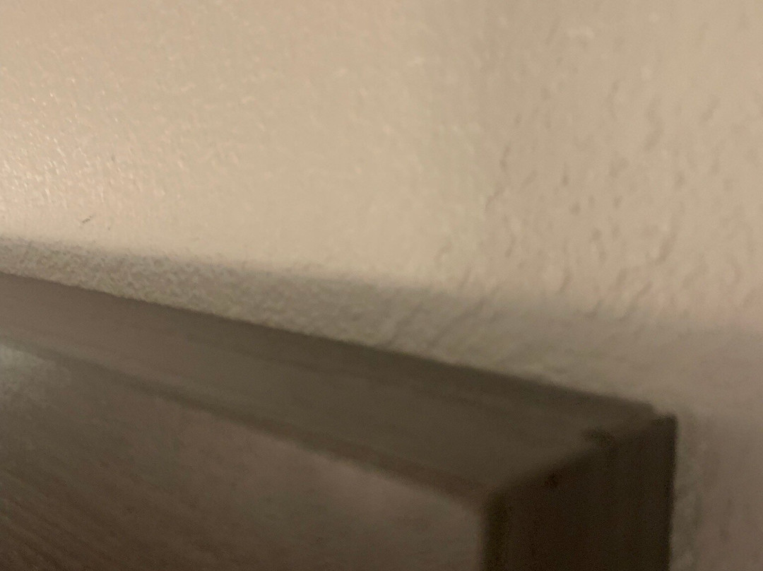 Best Western Hickory主图