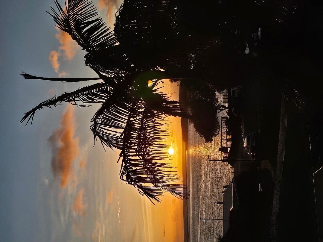 黄金海岸帆船度假村主图