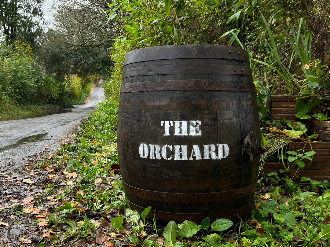 The Orchard - Dorset Star Cider景点图片