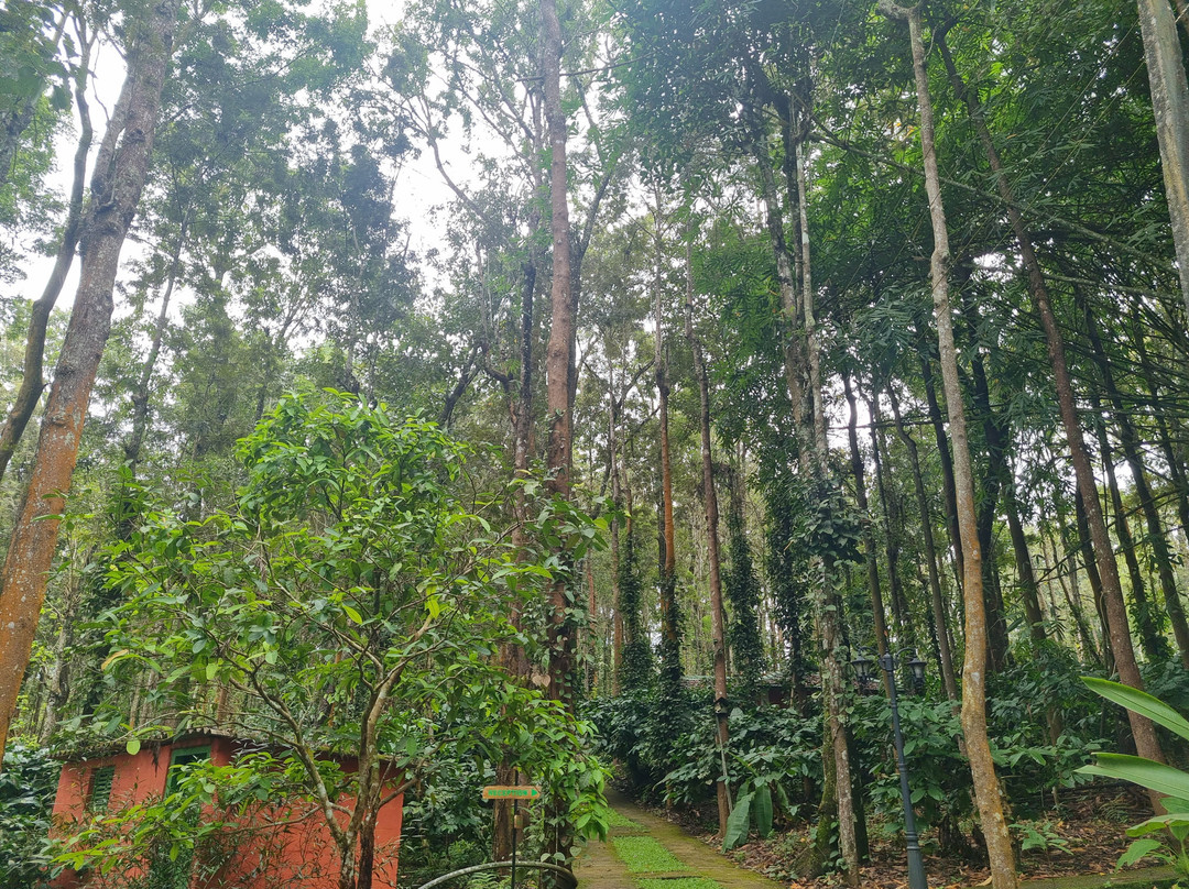 Adrak Mountain Mist Forest Resort主图